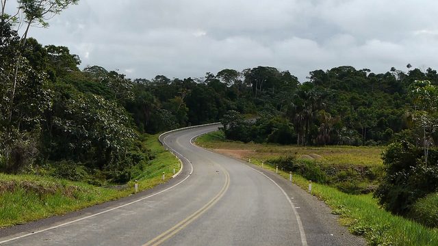 "La Carretera de la Selva / The Jungle Highway" (Connectas Americas)